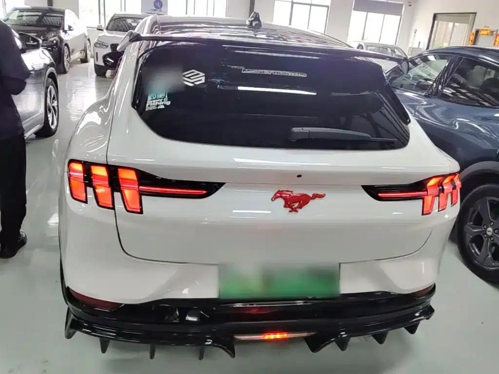 Ford e31 2021 Model X Long Range Rear-Wheel Drive — миниатюра 6