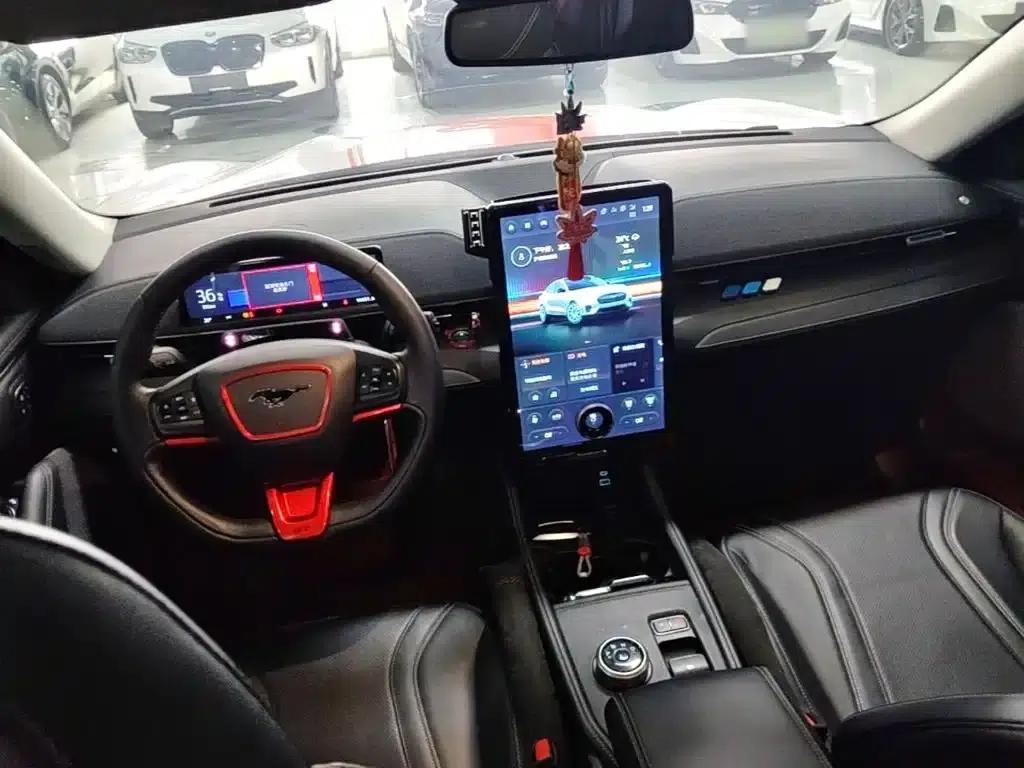 Ford e31 2021 Model X Long Range Rear-Wheel Drive — миниатюра 10