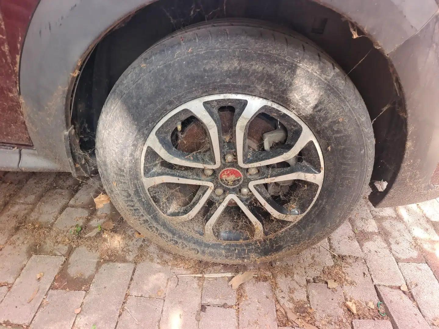 FORTHING Joyear X3 2016 1.5L Comfort Model — миниатюра 8
