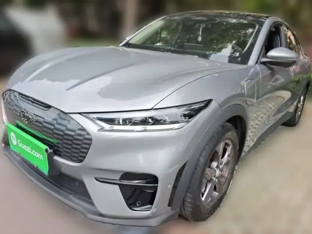 Ford Mustang Mach-E 2021 Leap Edition Rear-Drive Version (Standard Range)