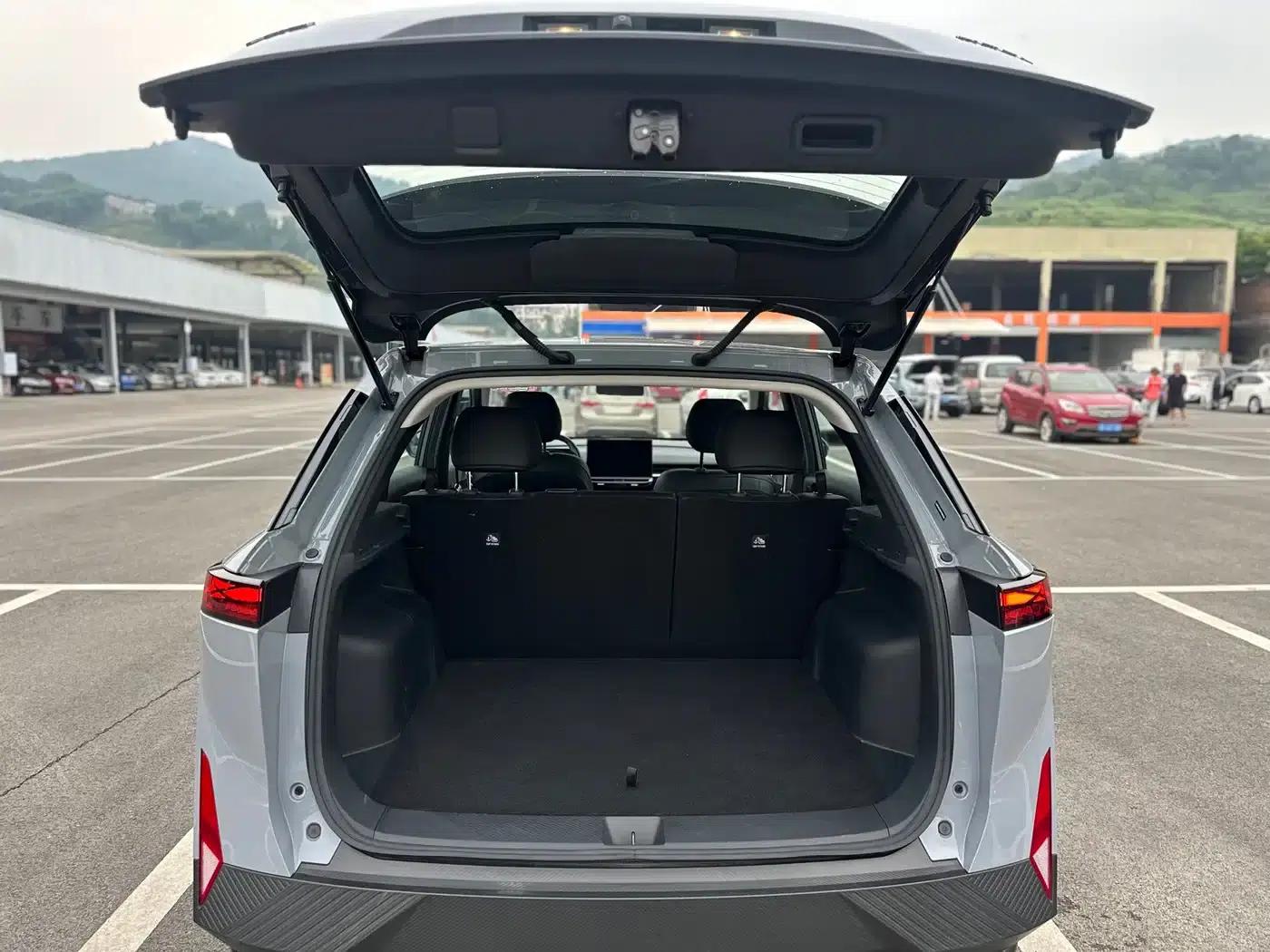 Venucia VX6 2024 520 Executive Edition — миниатюра 8