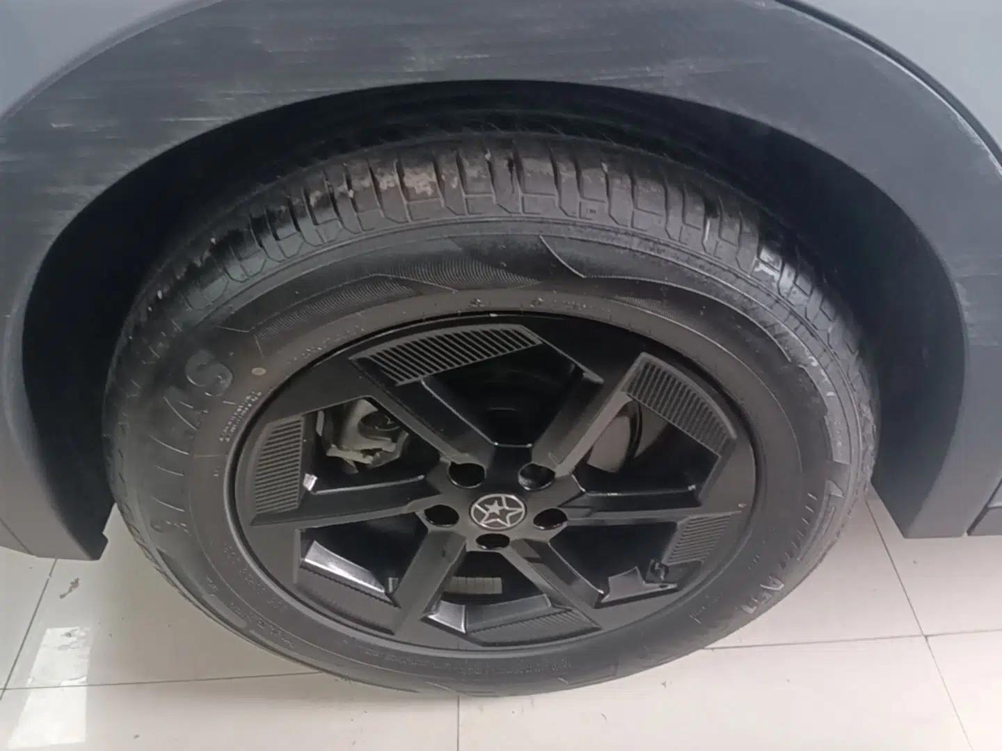 Venucia VX6 2024 520 Executive Edition — миниатюра 11