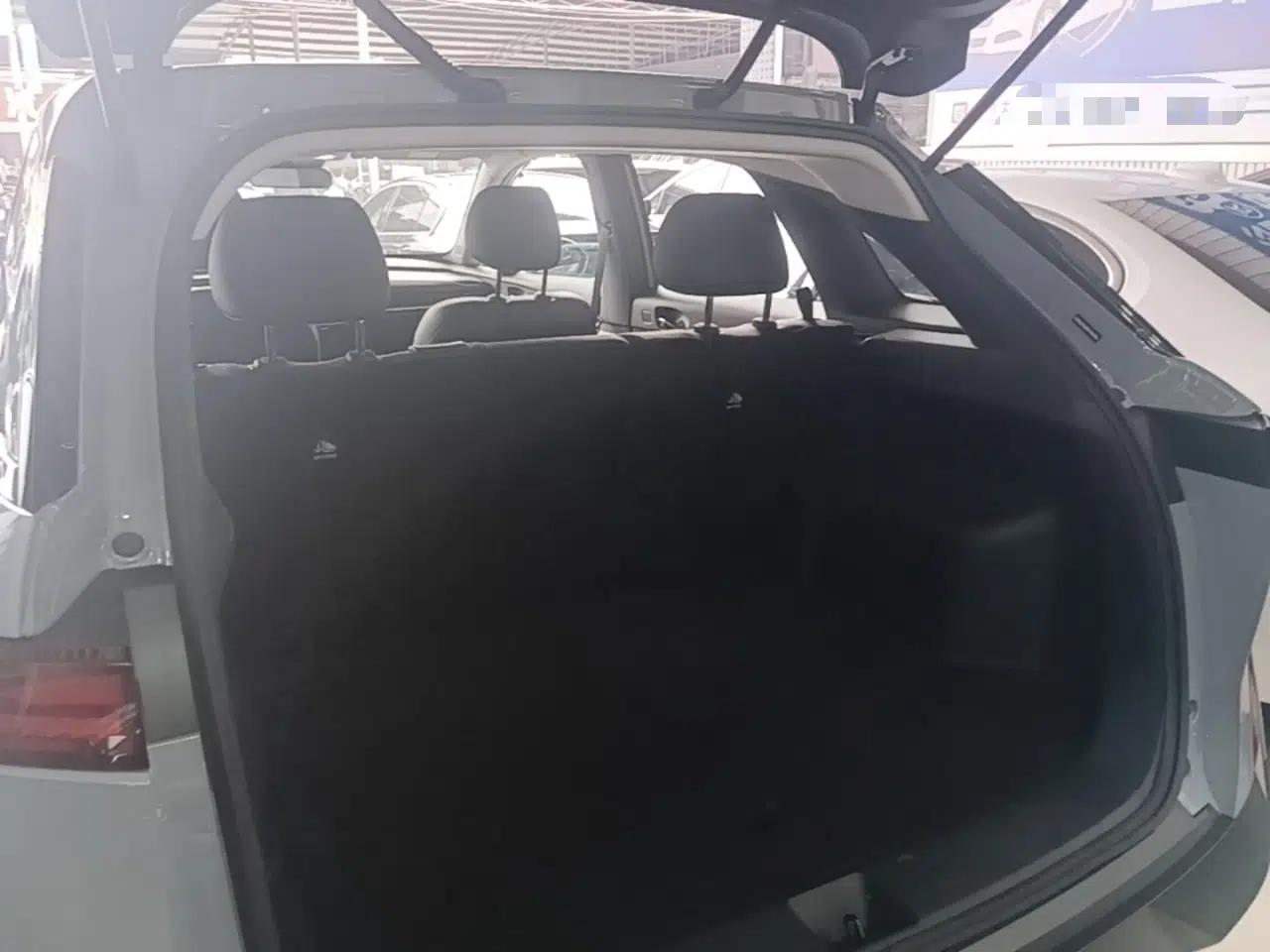 Venucia VX6 2024 520 Executive Edition — миниатюра 22