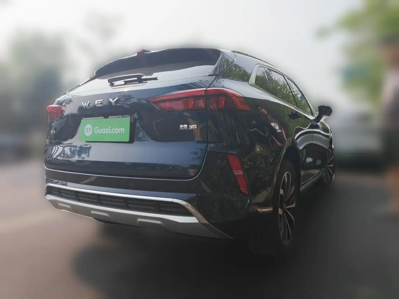 Wey Mocha 2021 2.0T Two-Wheel-Drive Ultra-Strong Version — миниатюра 6