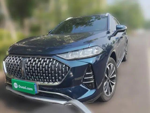 Wey Mocha 2021 2.0T Two-Wheel-Drive Ultra-Strong Version