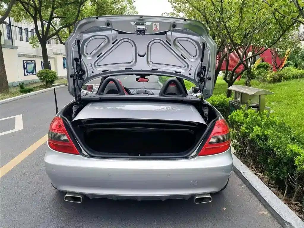 Mercedes-Benz SLK-Class 2010 SLK 200K Grand Edition — миниатюра 4