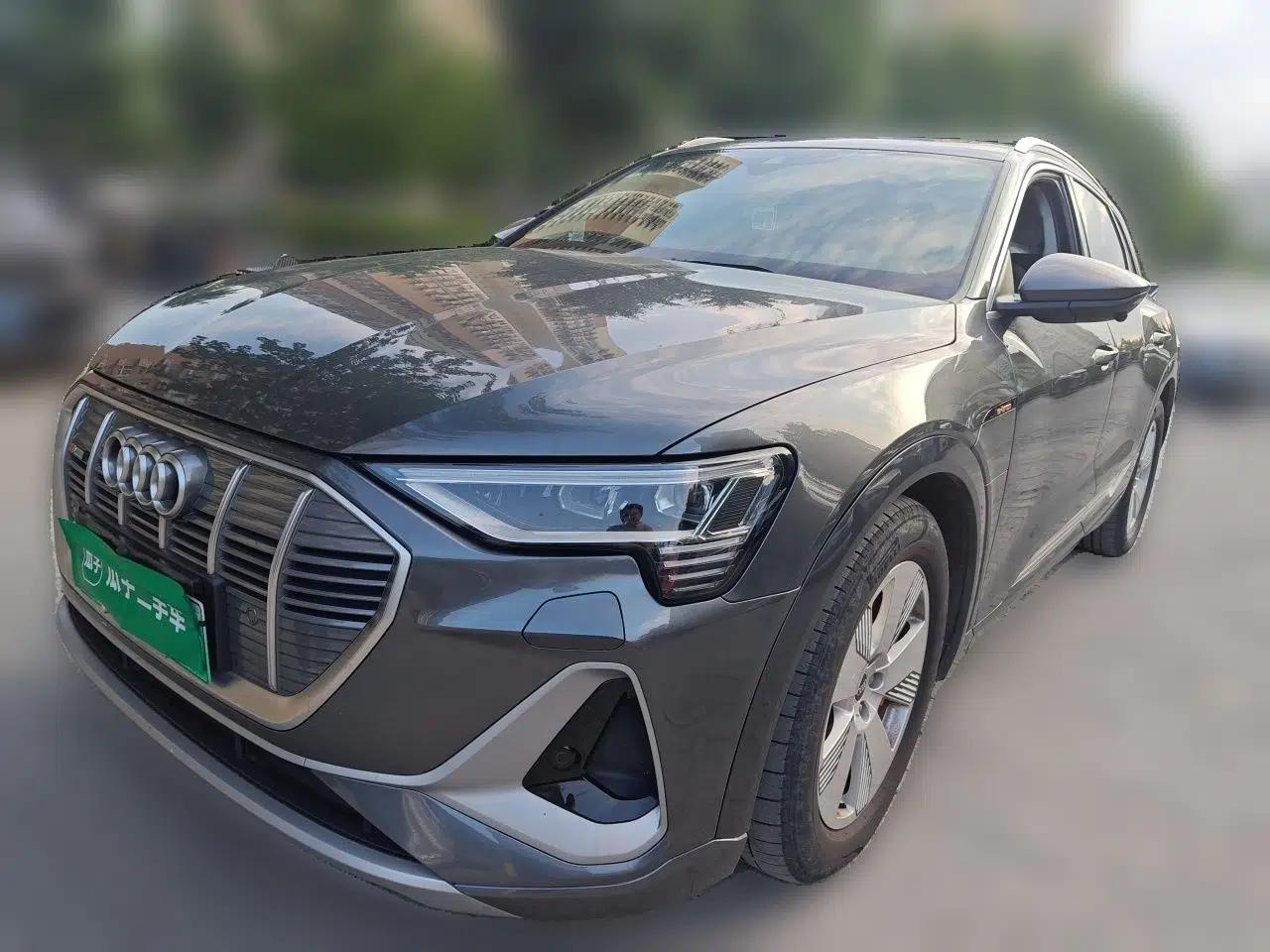 Audi e-tron 2021 50 quattro Luxury Edition — миниатюра 1