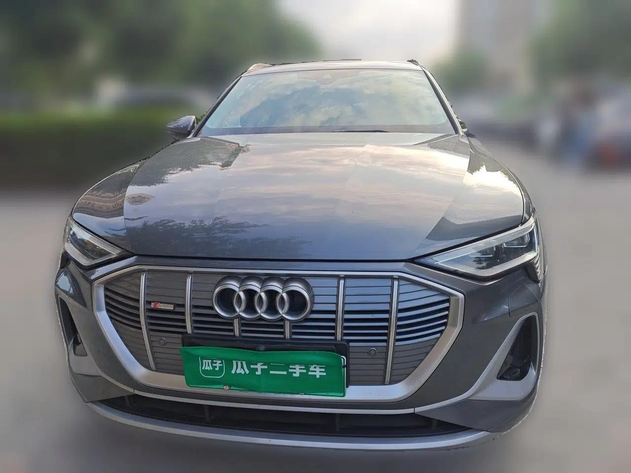 Audi e-tron 2021 50 quattro Luxury Edition — миниатюра 2