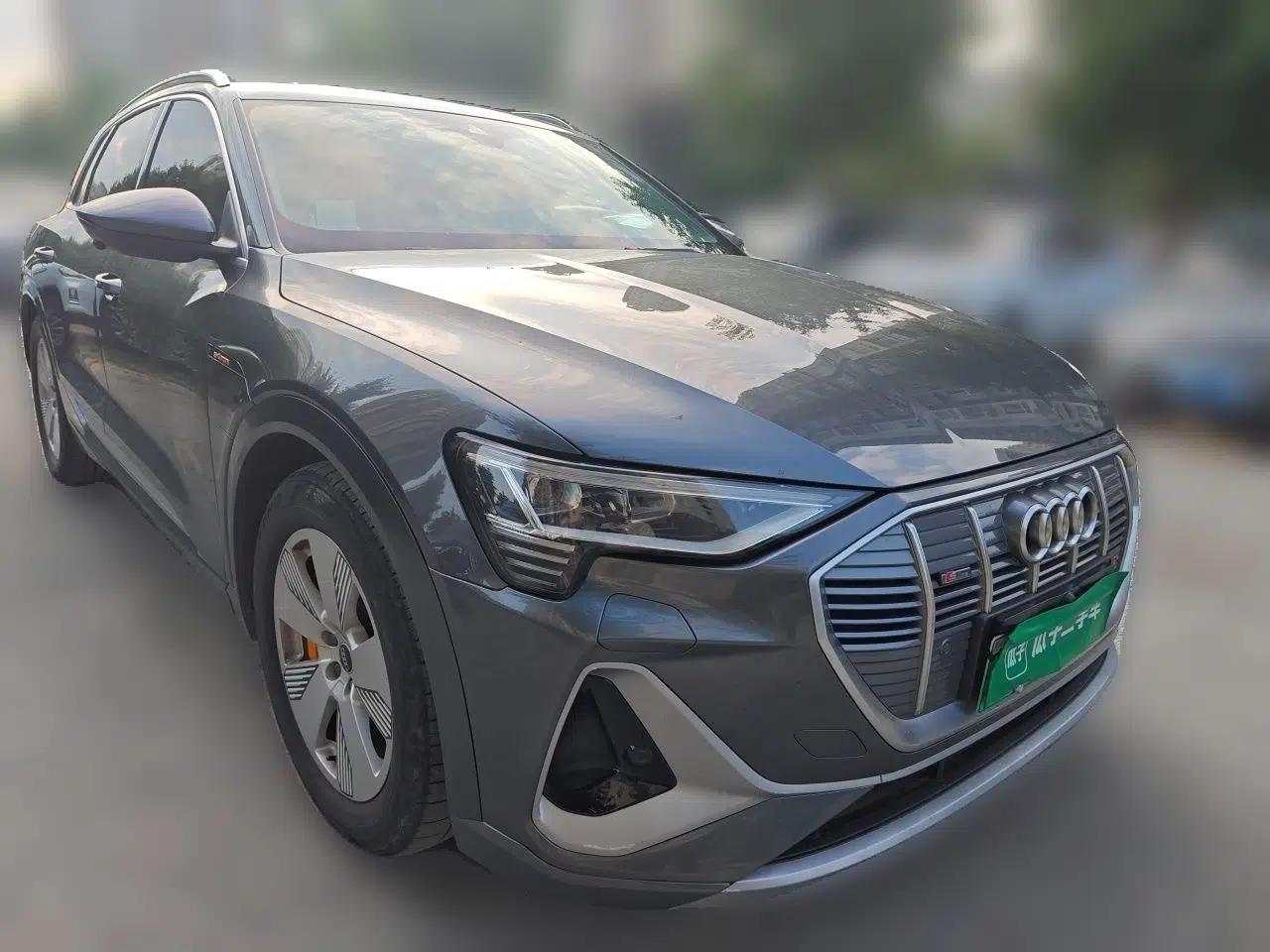 Audi e-tron 2021 50 quattro Luxury Edition — миниатюра 3