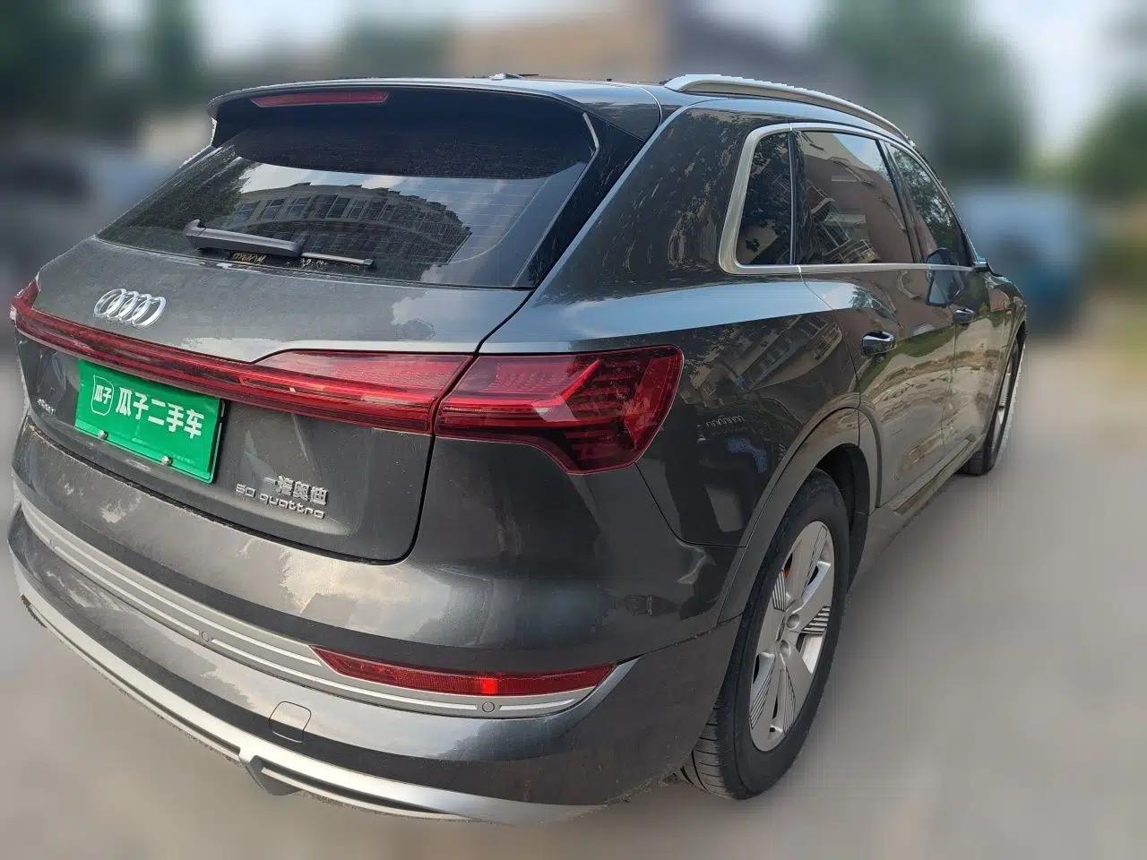 Audi e-tron 2021 50 quattro Luxury Edition — миниатюра 6