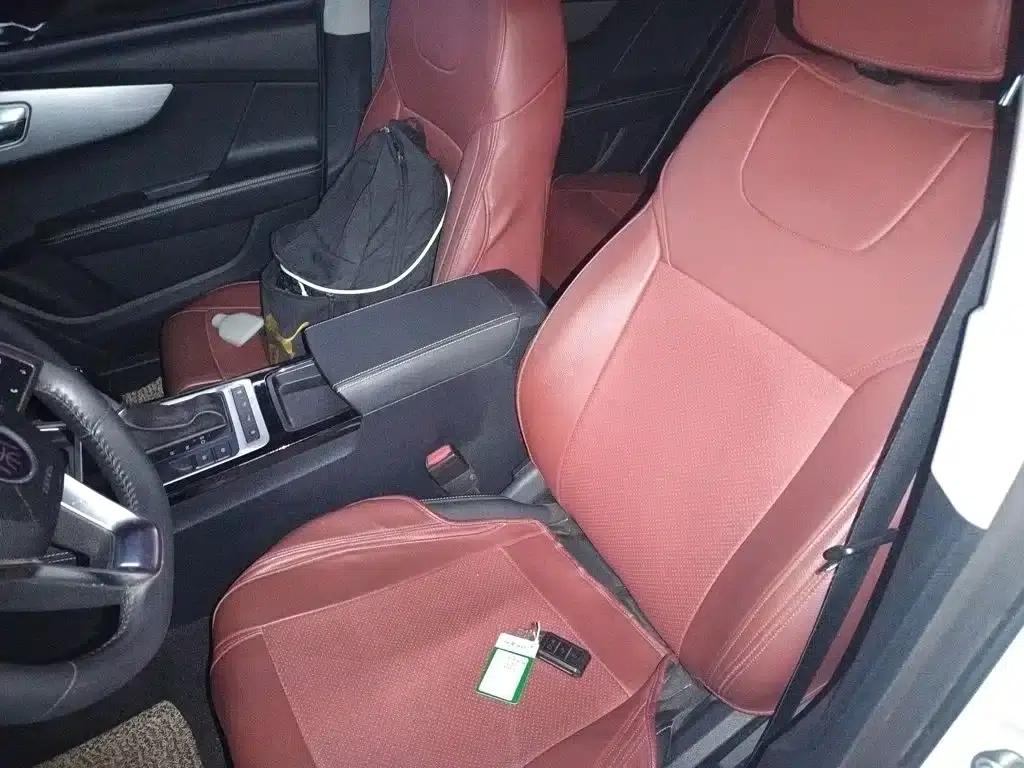 Qin 2019 1.5L Automatic Premium Edition — миниатюра 11
