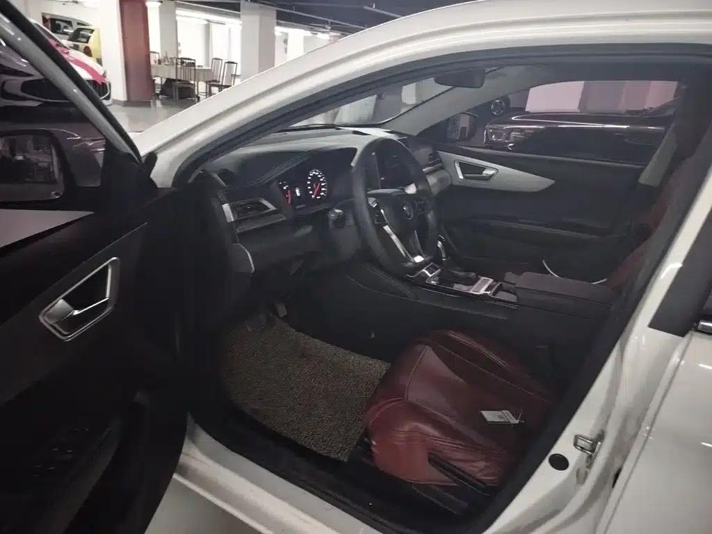 Qin 2019 1.5L Automatic Premium Edition — миниатюра 12
