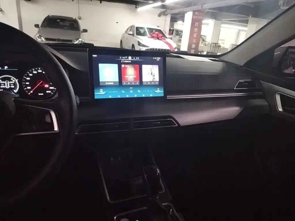 Qin 2019 1.5L Automatic Premium Edition — миниатюра 9