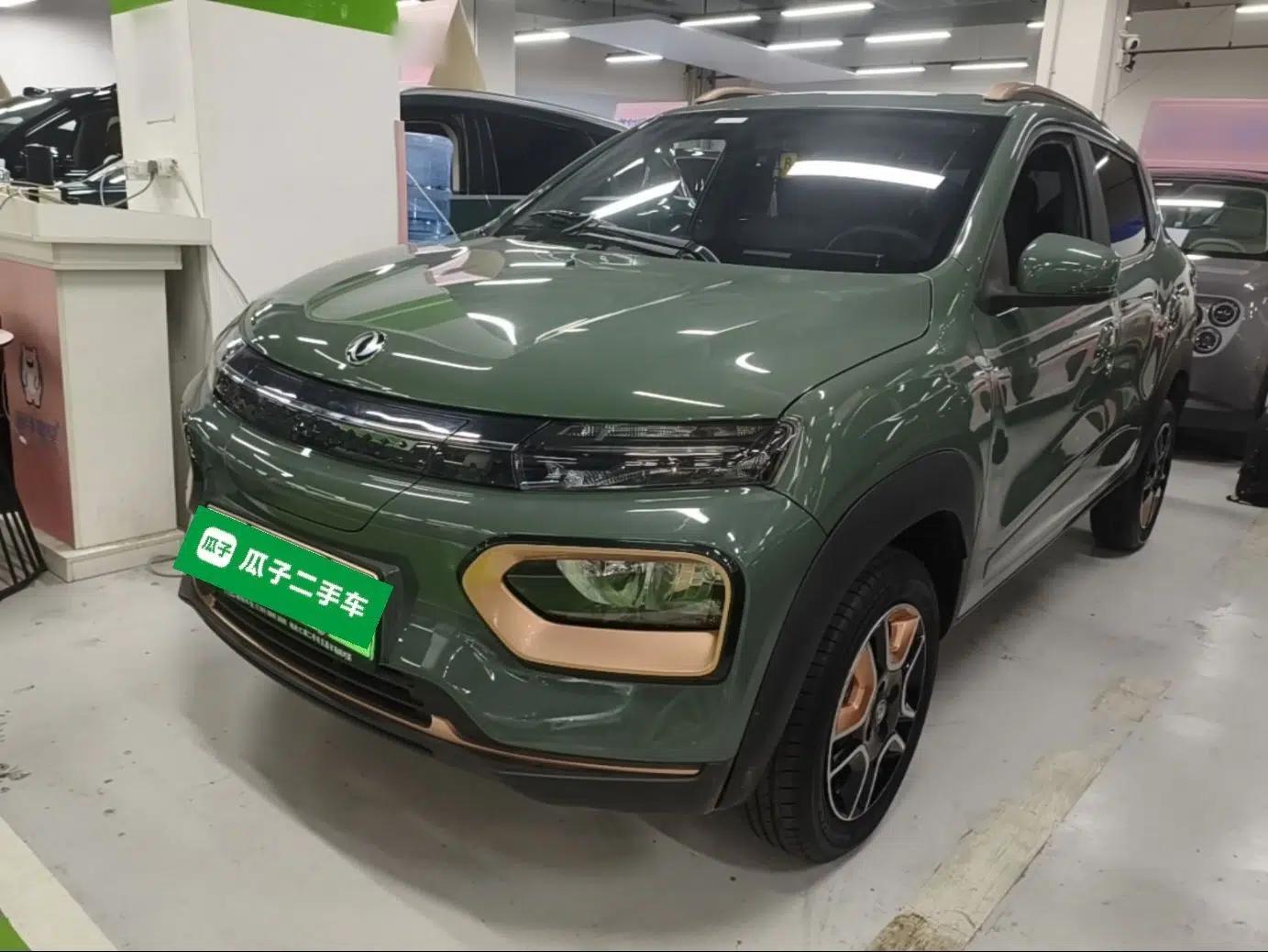 Dongfeng NAMMI EX1 2023 PRO Light Wind Edition Standard Model — миниатюра 1