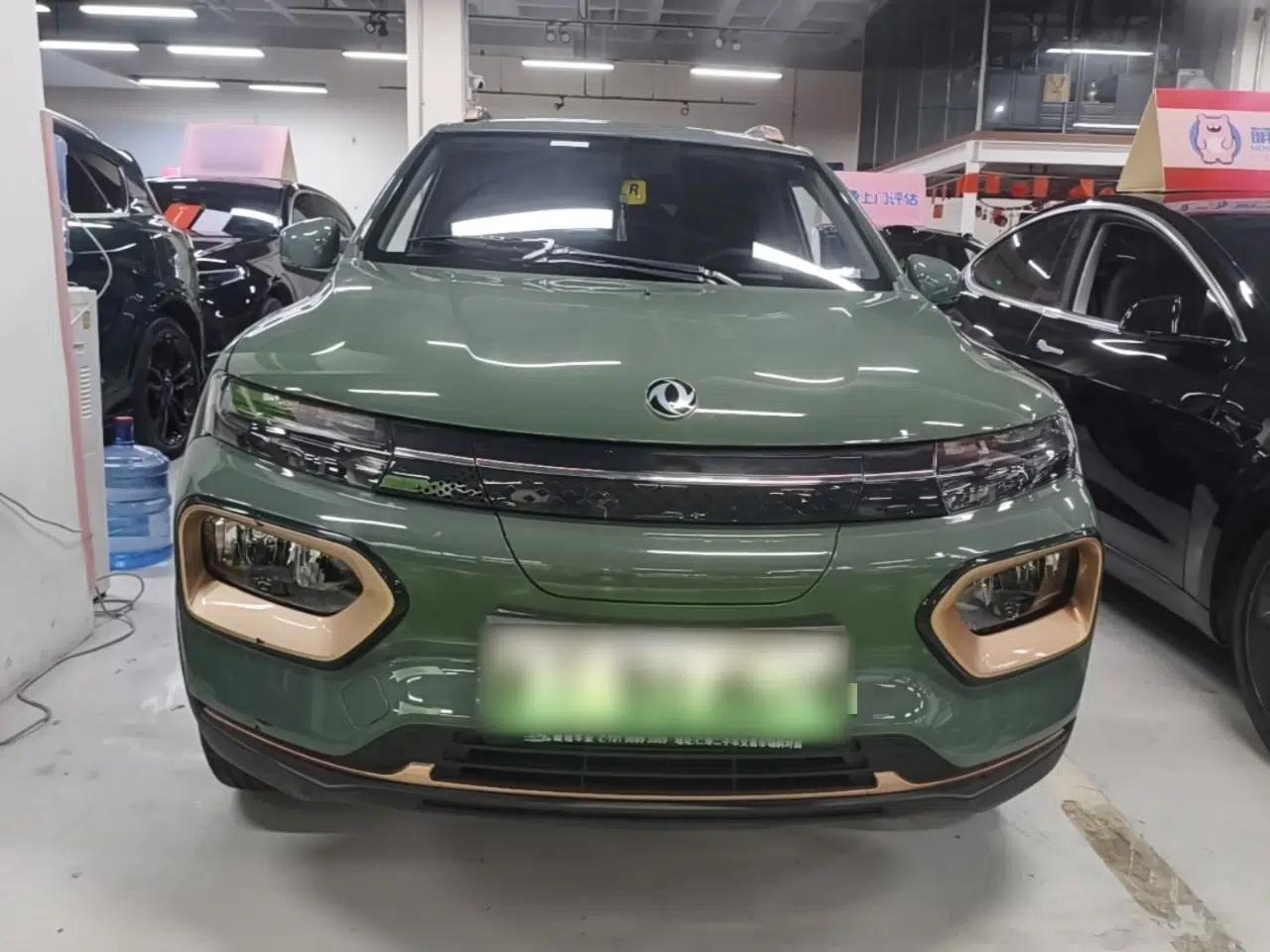 Dongfeng NAMMI EX1 2023 PRO Light Wind Edition Standard Model — миниатюра 2