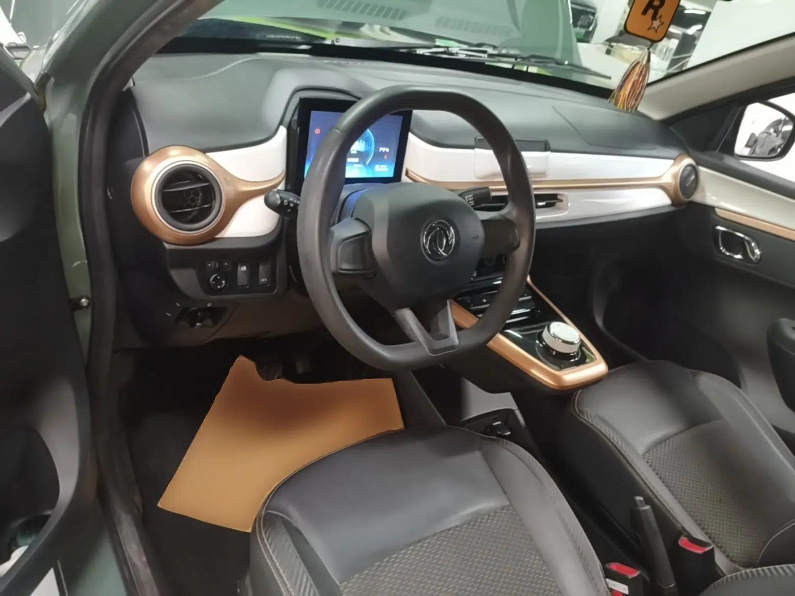 Dongfeng NAMMI EX1 2023 PRO Light Wind Edition Standard Model — миниатюра 12