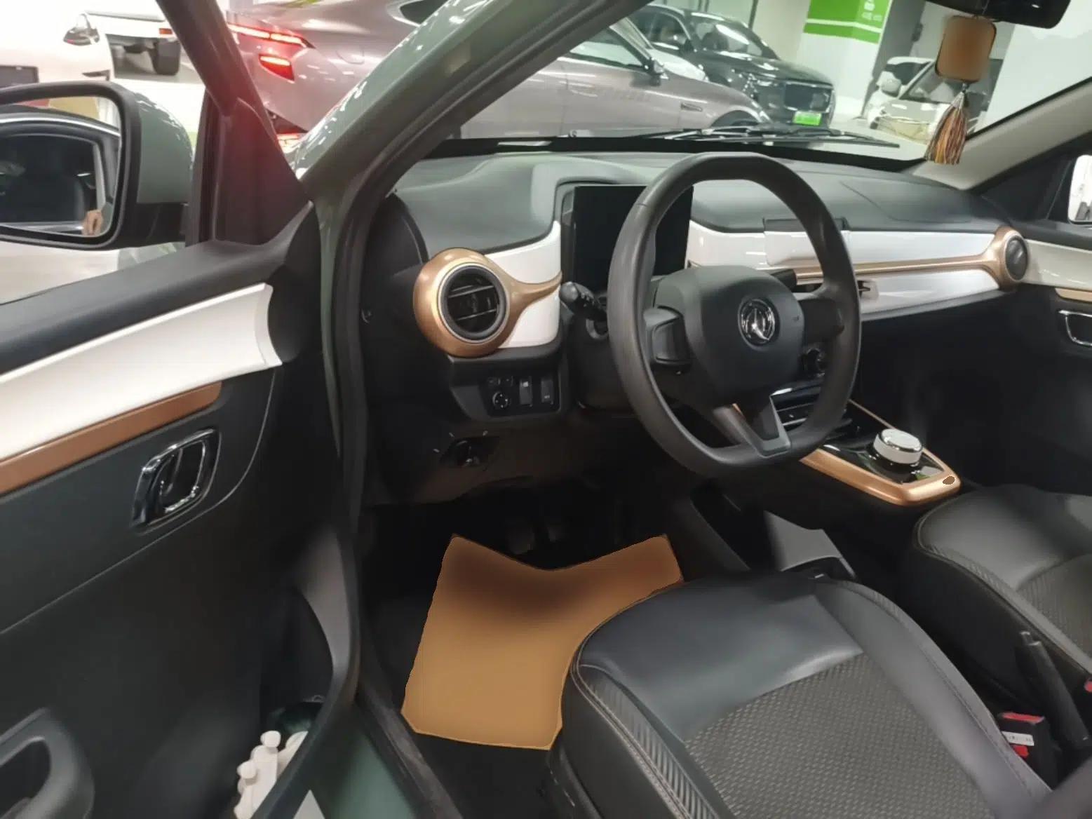 Dongfeng NAMMI EX1 2023 PRO Light Wind Edition Standard Model — миниатюра 18