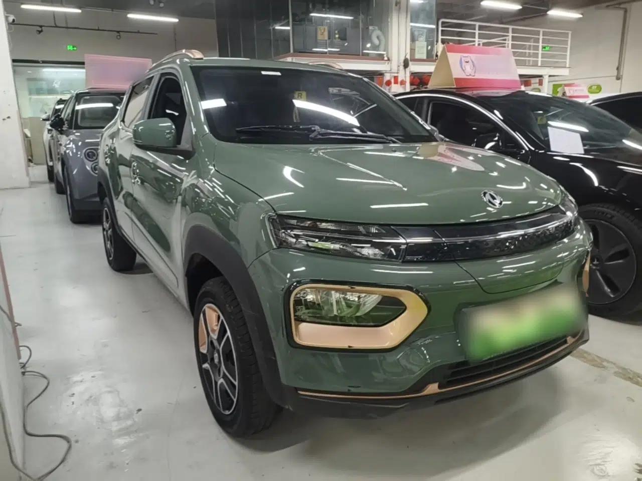 Dongfeng NAMMI EX1 2023 PRO Light Wind Edition Standard Model — миниатюра 3