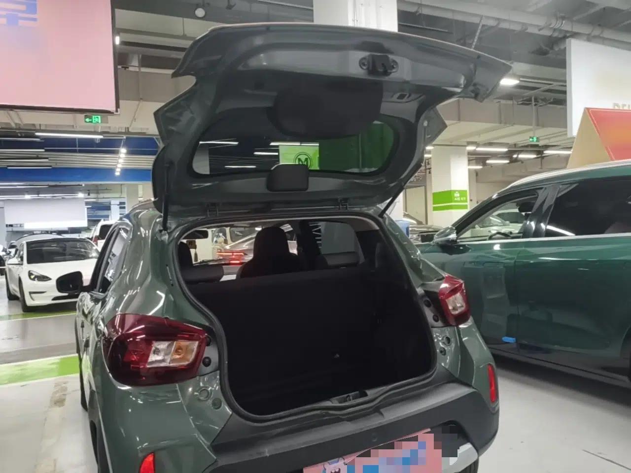 Dongfeng NAMMI EX1 2023 PRO Light Wind Edition Standard Model — миниатюра 22