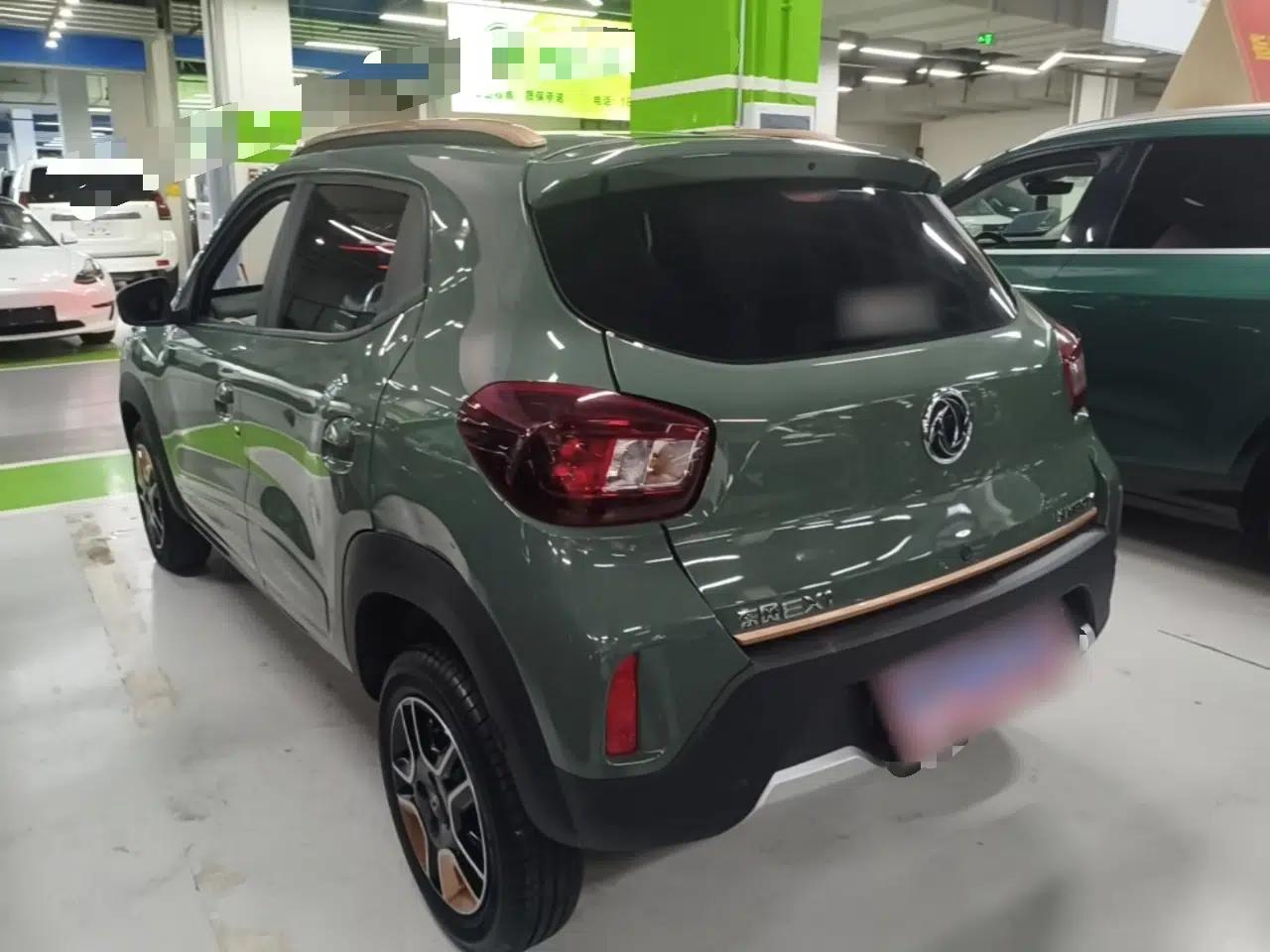 Dongfeng NAMMI EX1 2023 PRO Light Wind Edition Standard Model — миниатюра 4