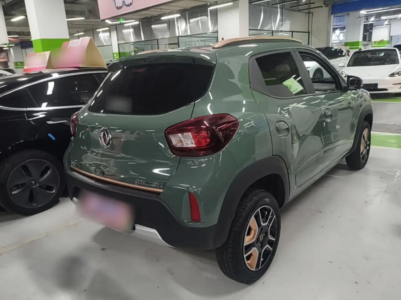 Dongfeng NAMMI EX1 2023 PRO Light Wind Edition Standard Model — миниатюра 6
