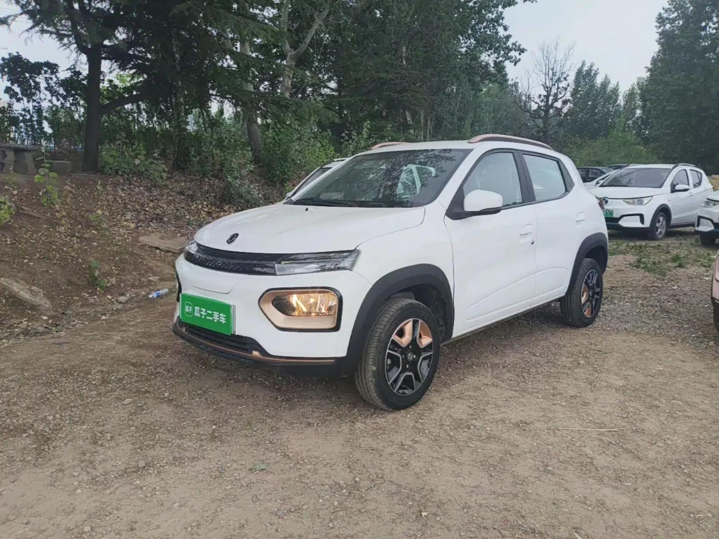 Dongfeng NAMMI BOX 2022 Revised Light Wind Edition 201 km Standard Version — миниатюра 1