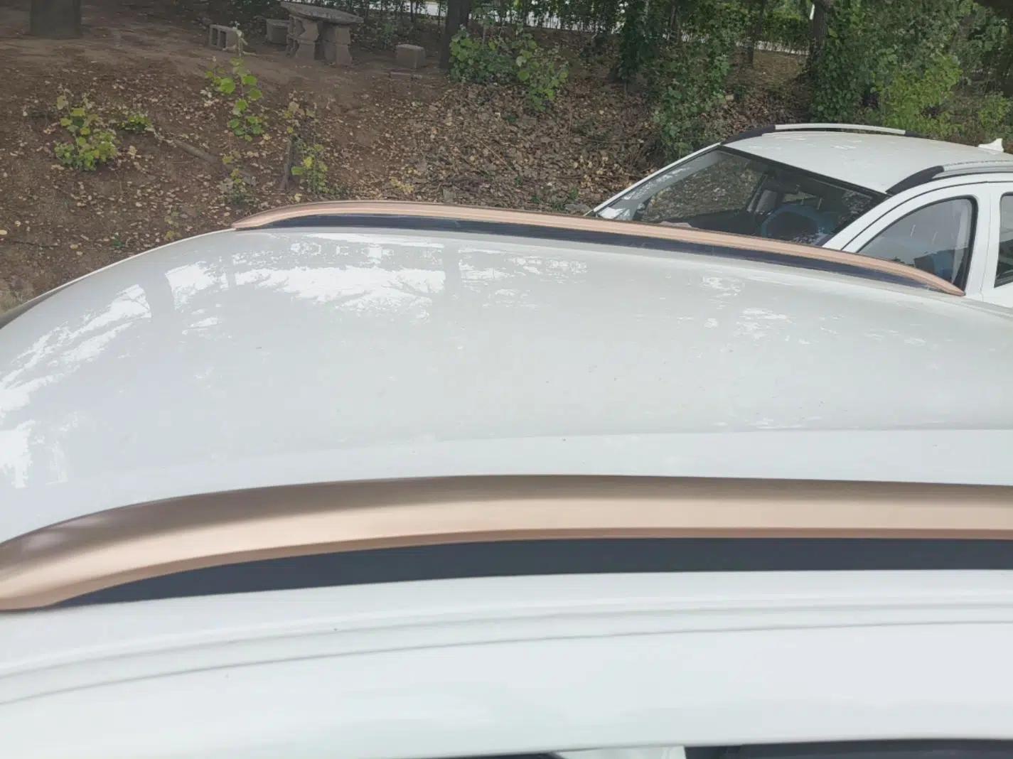 Dongfeng NAMMI BOX 2022 Revised Light Wind Edition 201 km Standard Version — миниатюра 7