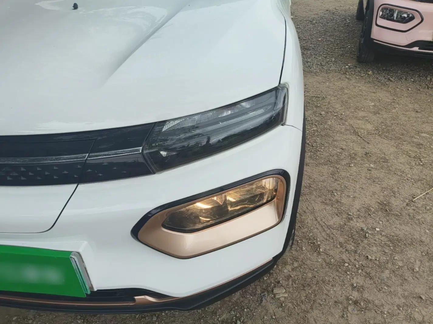 Dongfeng NAMMI BOX 2022 Revised Light Wind Edition 201 km Standard Version — миниатюра 8