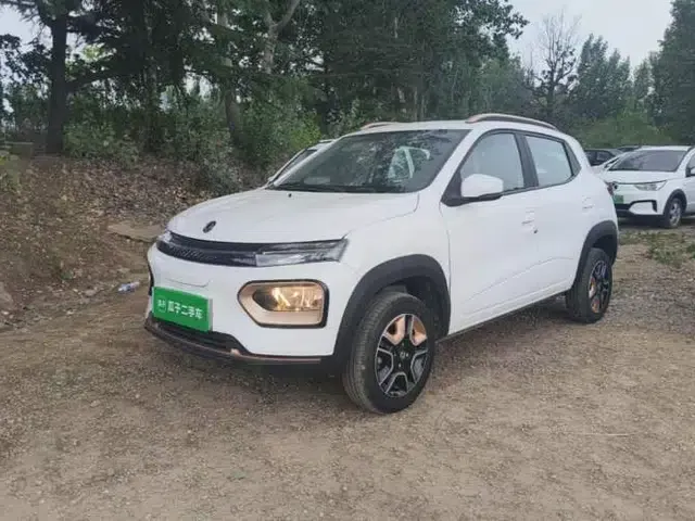 Dongfeng NAMMI BOX 2022 Revised Light Wind Edition 201 km Standard Version