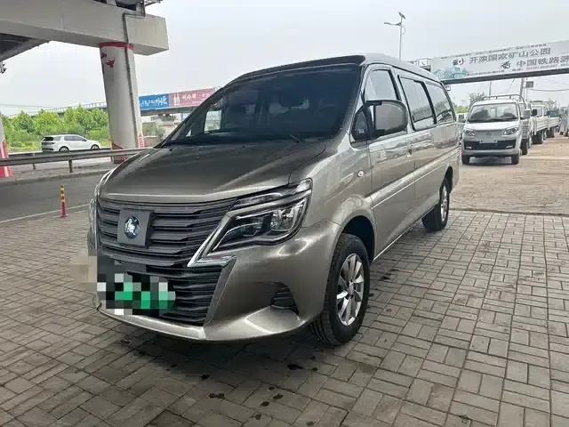 Lingzhi New Energy 2024 Standard Edition Basic 9-Seater