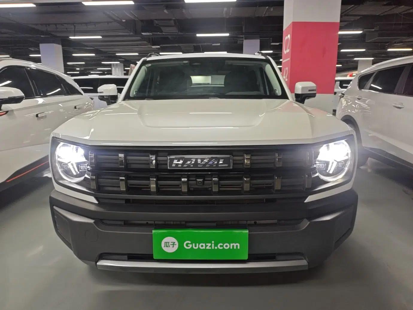 Haval X DOG 2022 1.5T DCT Two-Wheel Drive Trendy Edition — миниатюра 2