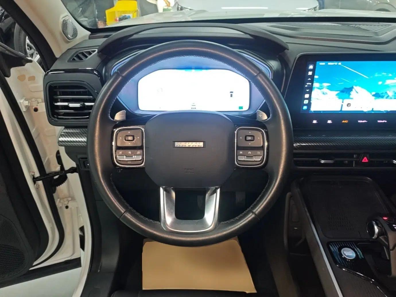 Haval X DOG 2022 1.5T DCT Two-Wheel Drive Trendy Edition — миниатюра 13