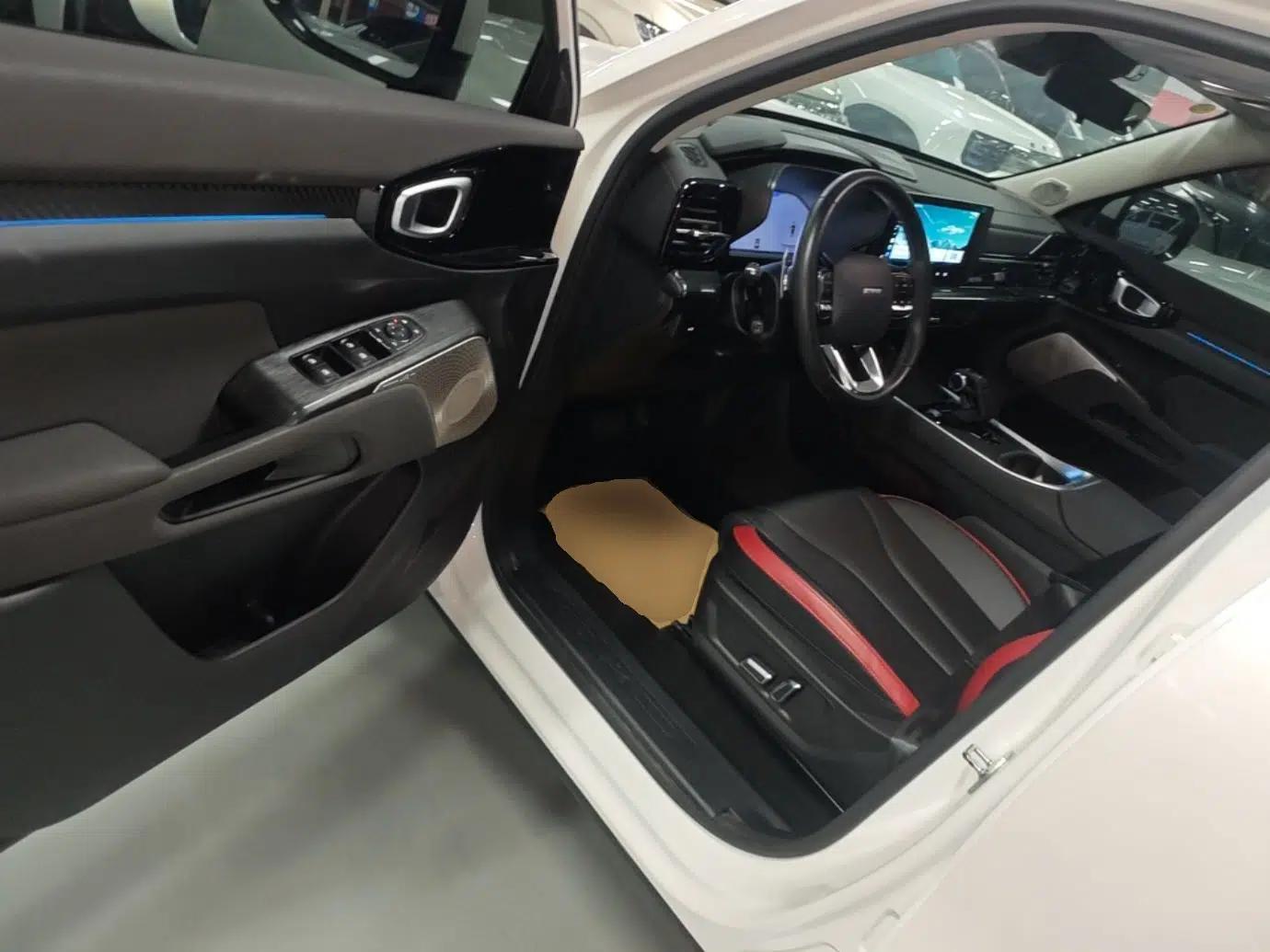 Haval X DOG 2022 1.5T DCT Two-Wheel Drive Trendy Edition — миниатюра 18