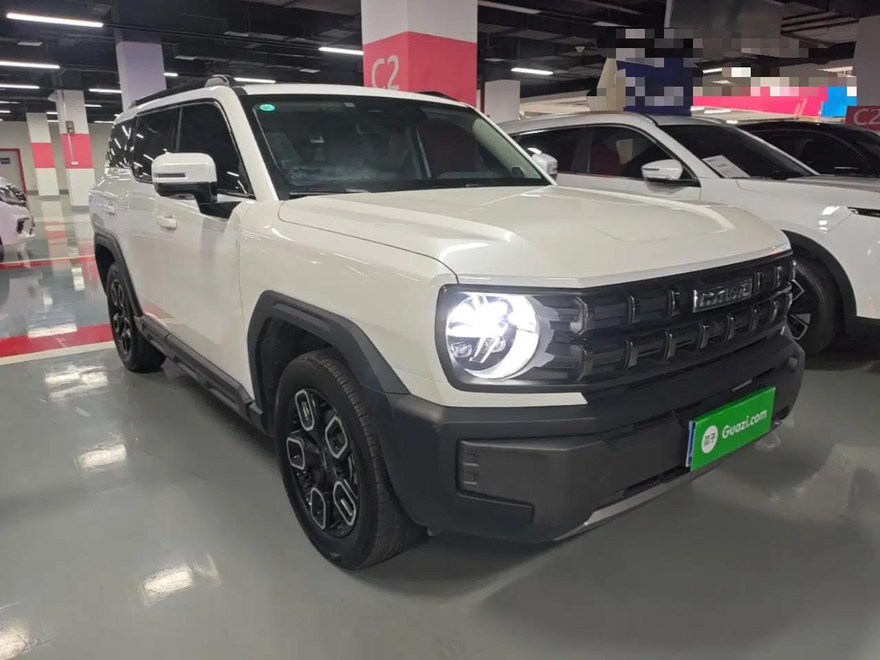 Haval X DOG 2022 1.5T DCT Two-Wheel Drive Trendy Edition — миниатюра 3
