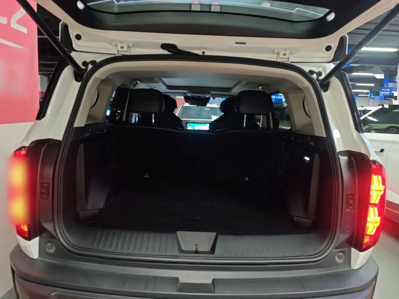 Haval X DOG 2022 1.5T DCT Two-Wheel Drive Trendy Edition — миниатюра 22