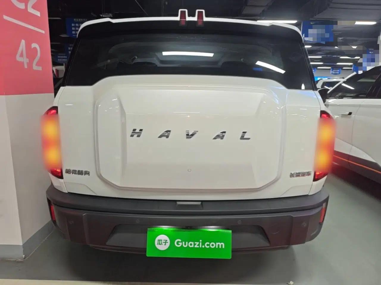 Haval X DOG 2022 1.5T DCT Two-Wheel Drive Trendy Edition — миниатюра 5