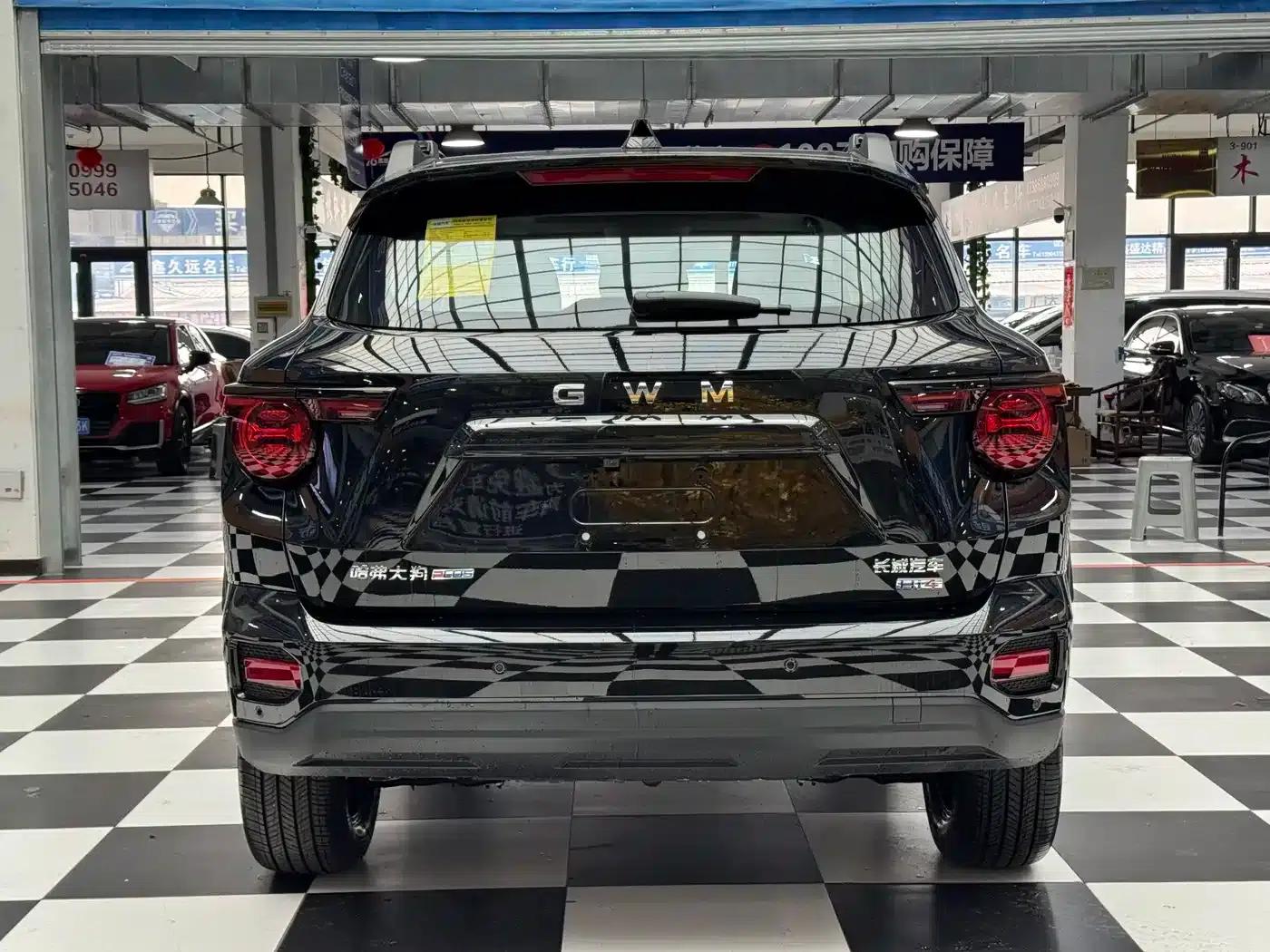Haval Big Dog PLUS New Energy 2026 Hi4 150km Trendy Electric Edition — миниатюра 8