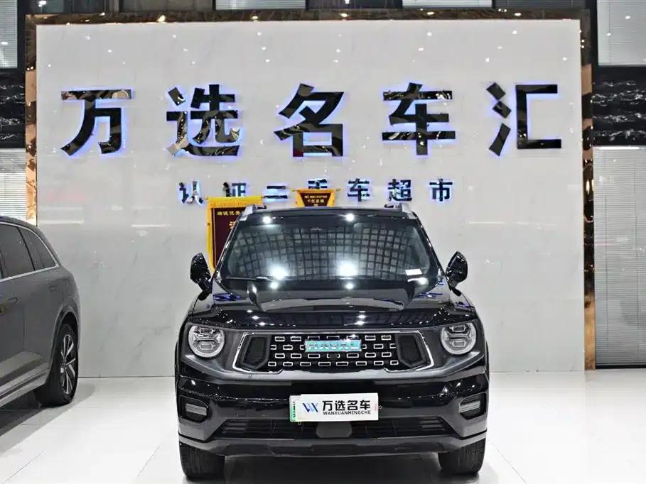 Haval Big Dog PLUS New Energy 2023 DHT-PHEV 105km Trendy Electric Edition Plus — миниатюра 2