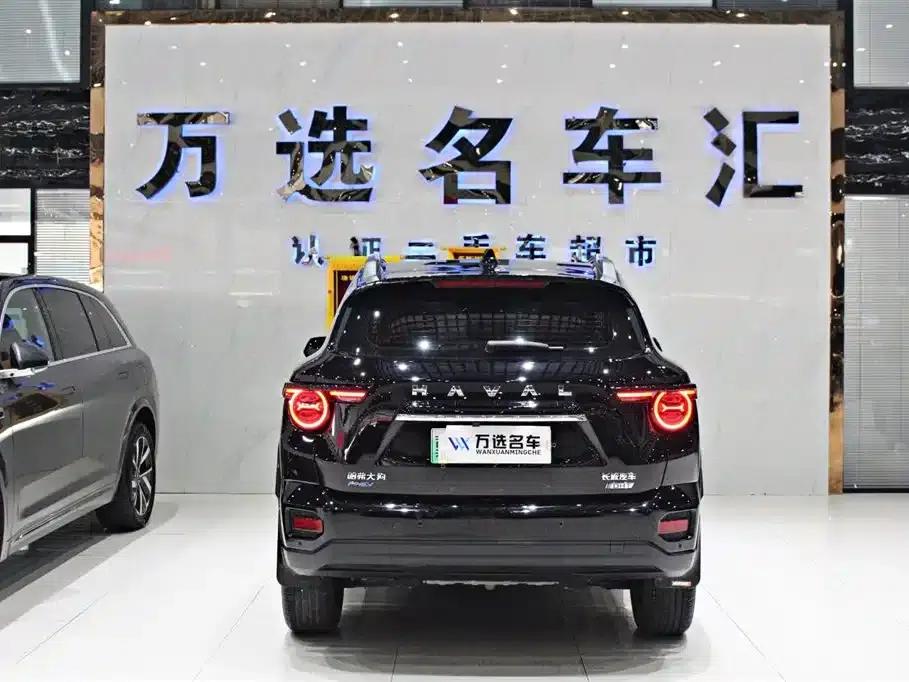Haval Big Dog PLUS New Energy 2023 DHT-PHEV 105km Trendy Electric Edition Plus — миниатюра 14