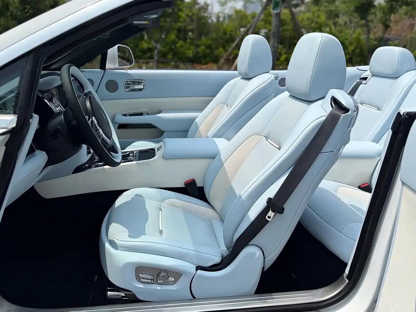 2018 Dawn 6.6T Standard Edition — миниатюра 13