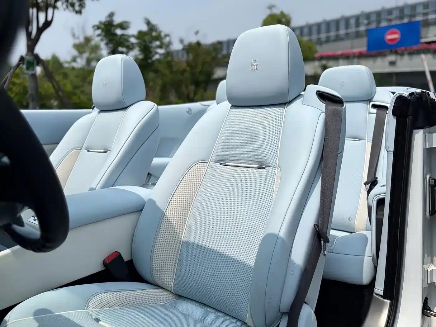 2018 Dawn 6.6T Standard Edition — миниатюра 14