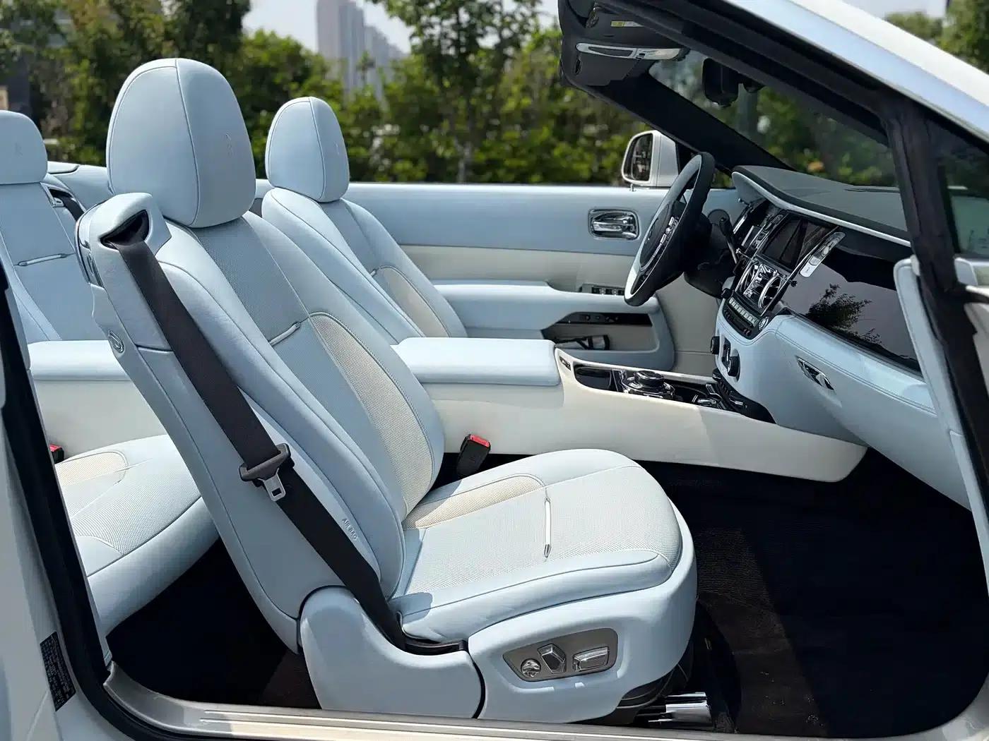 2018 Dawn 6.6T Standard Edition — миниатюра 17