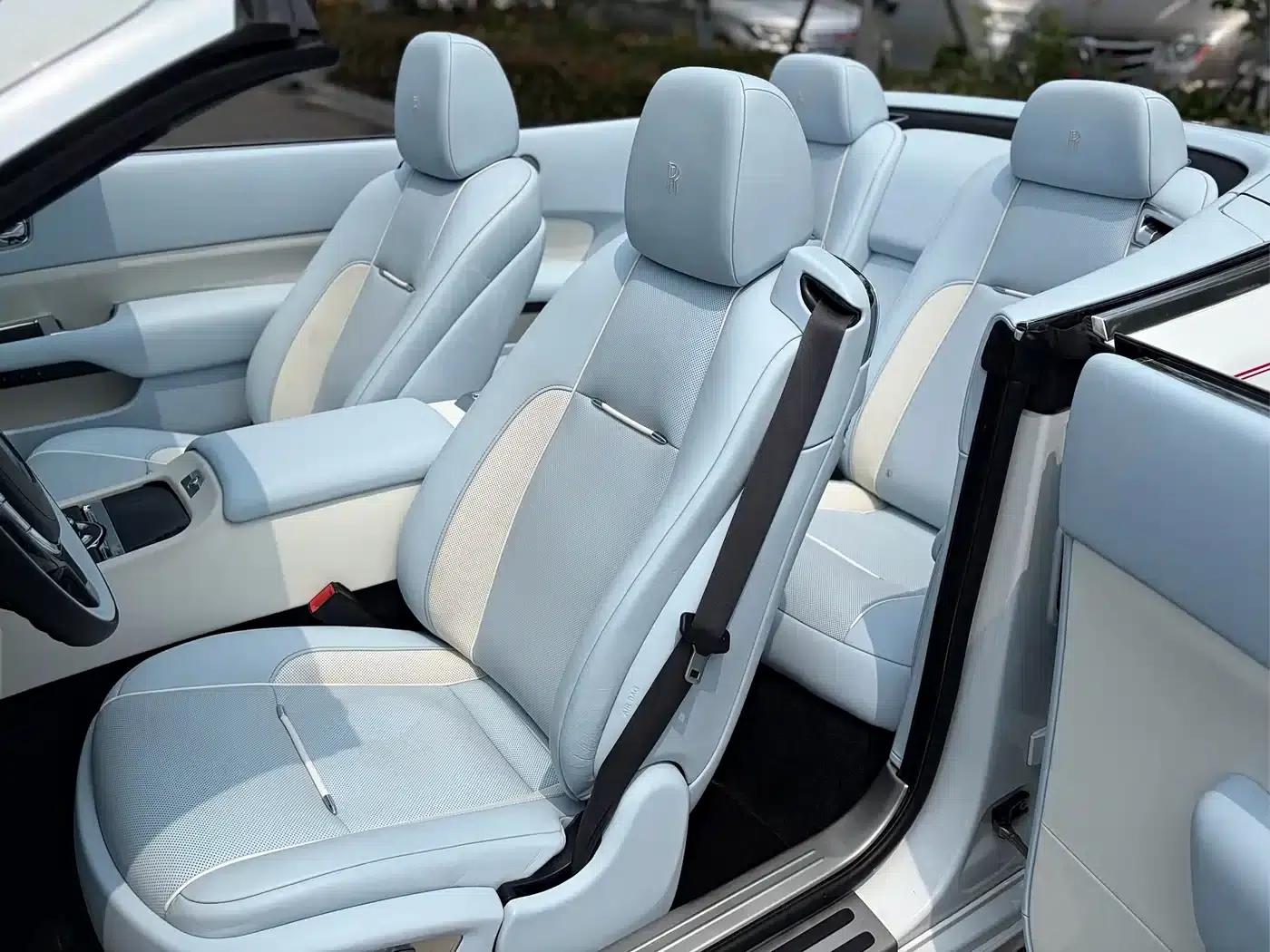 2018 Dawn 6.6T Standard Edition — миниатюра 19