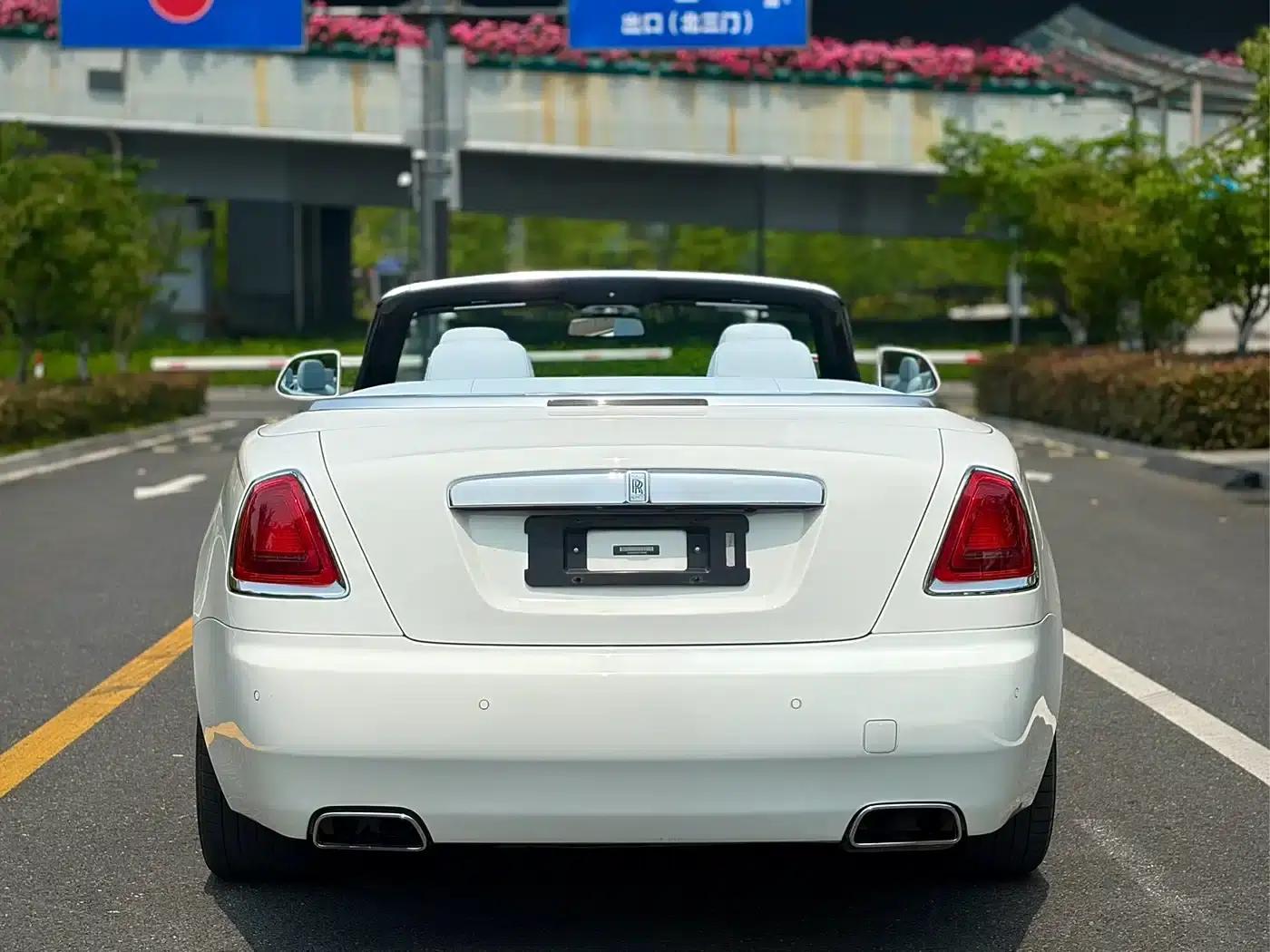 2018 Dawn 6.6T Standard Edition — миниатюра 3
