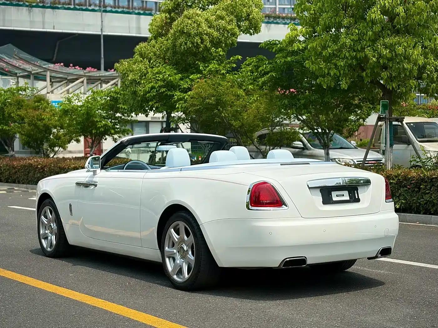 2018 Dawn 6.6T Standard Edition — миниатюра 4