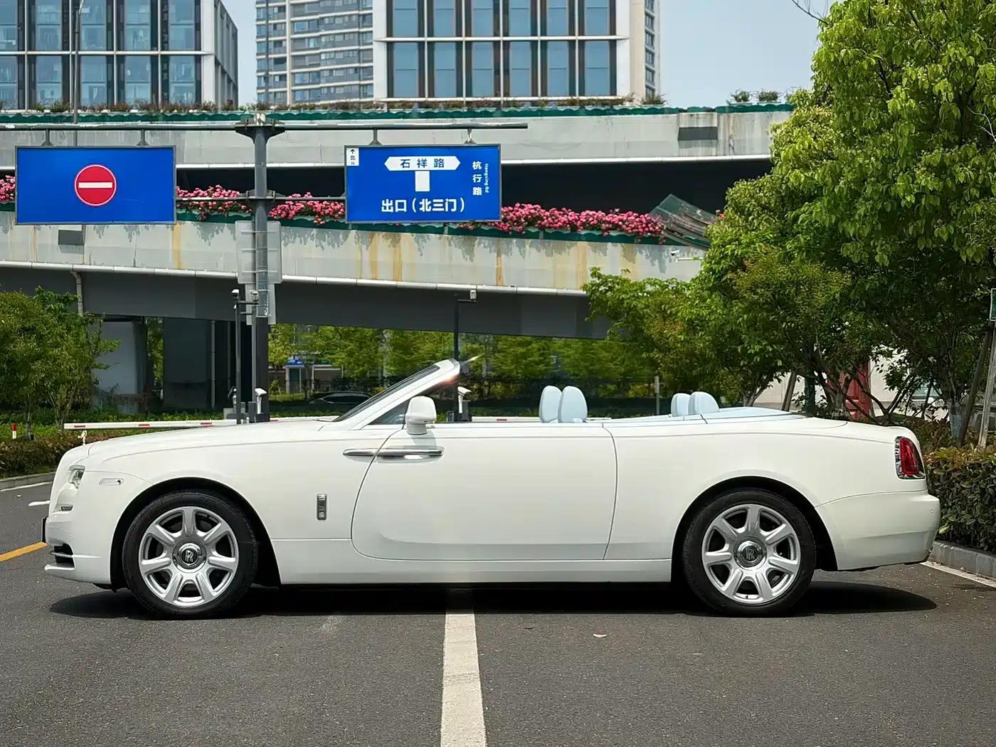 2018 Dawn 6.6T Standard Edition — миниатюра 5