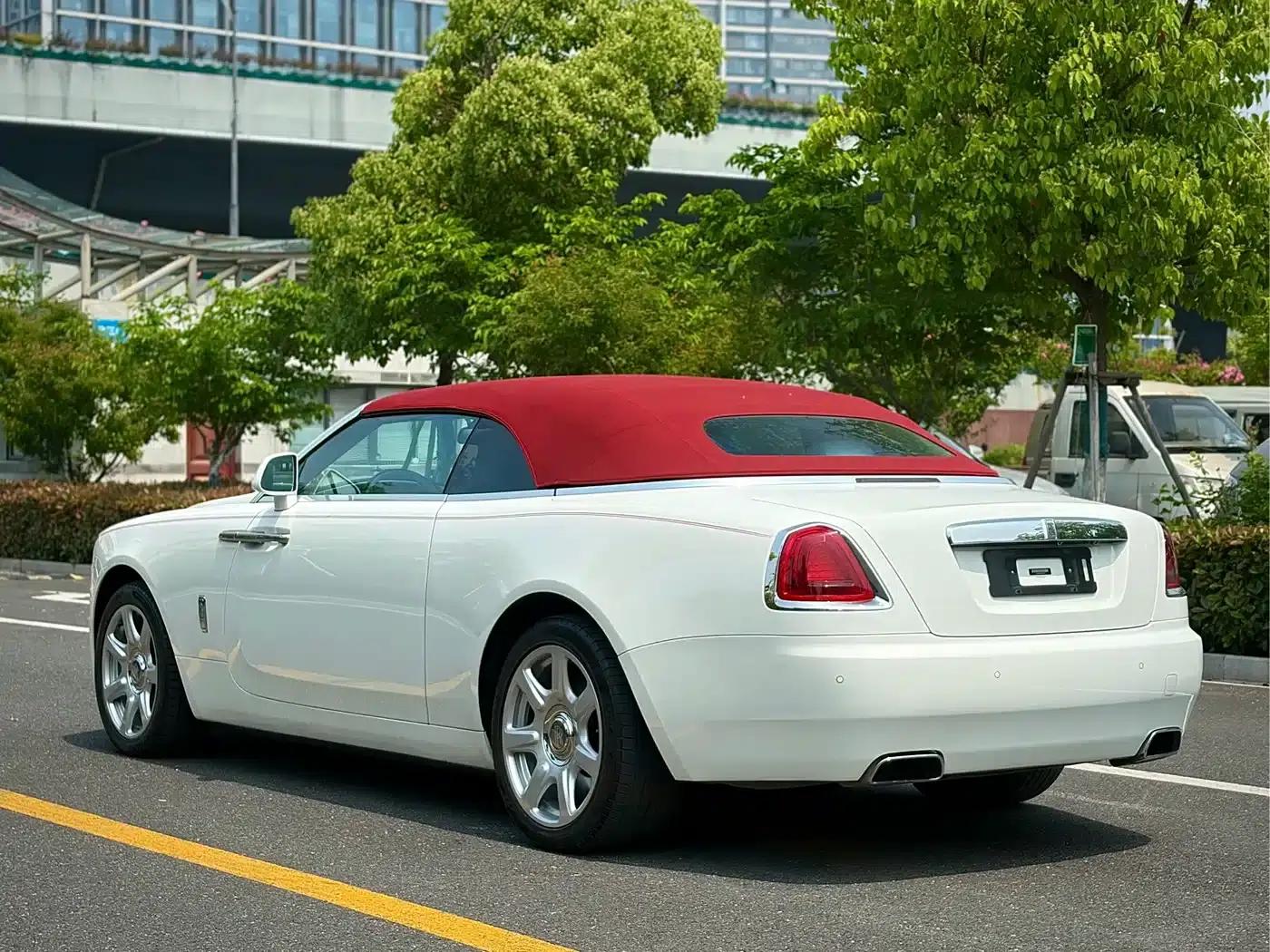 2018 Dawn 6.6T Standard Edition — миниатюра 6