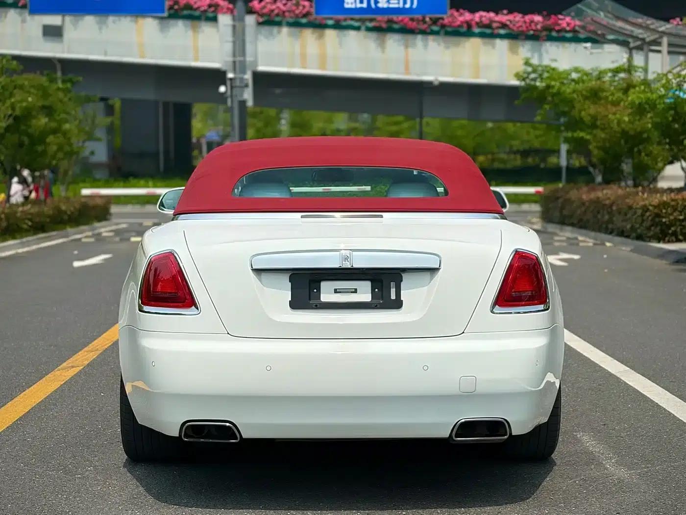 2018 Dawn 6.6T Standard Edition — миниатюра 7