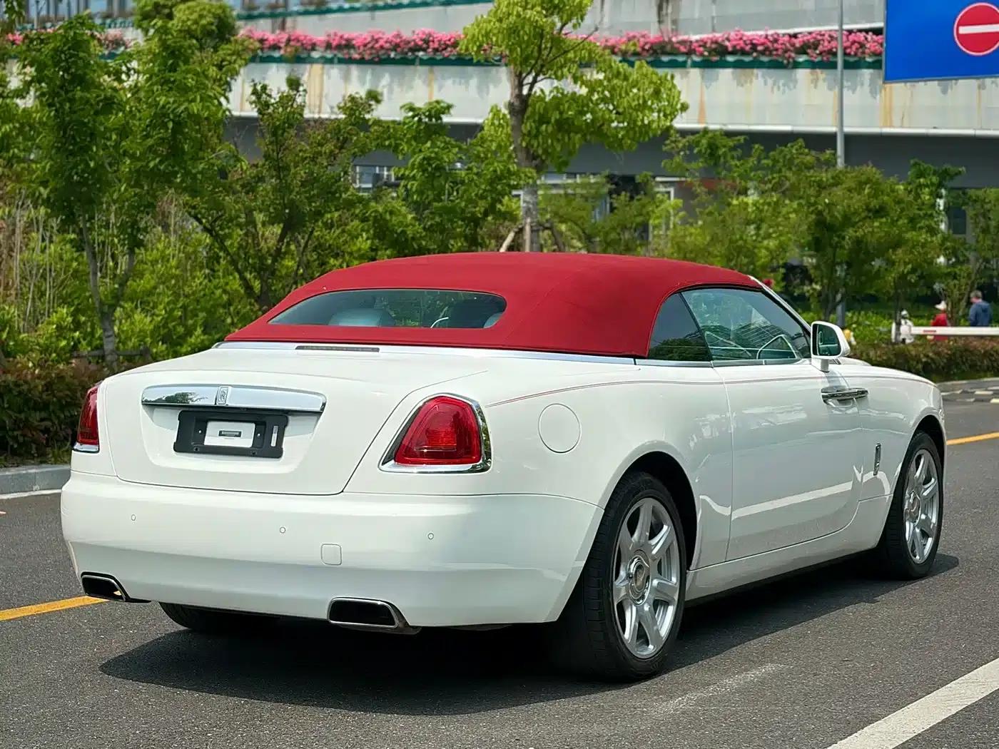 2018 Dawn 6.6T Standard Edition — миниатюра 8