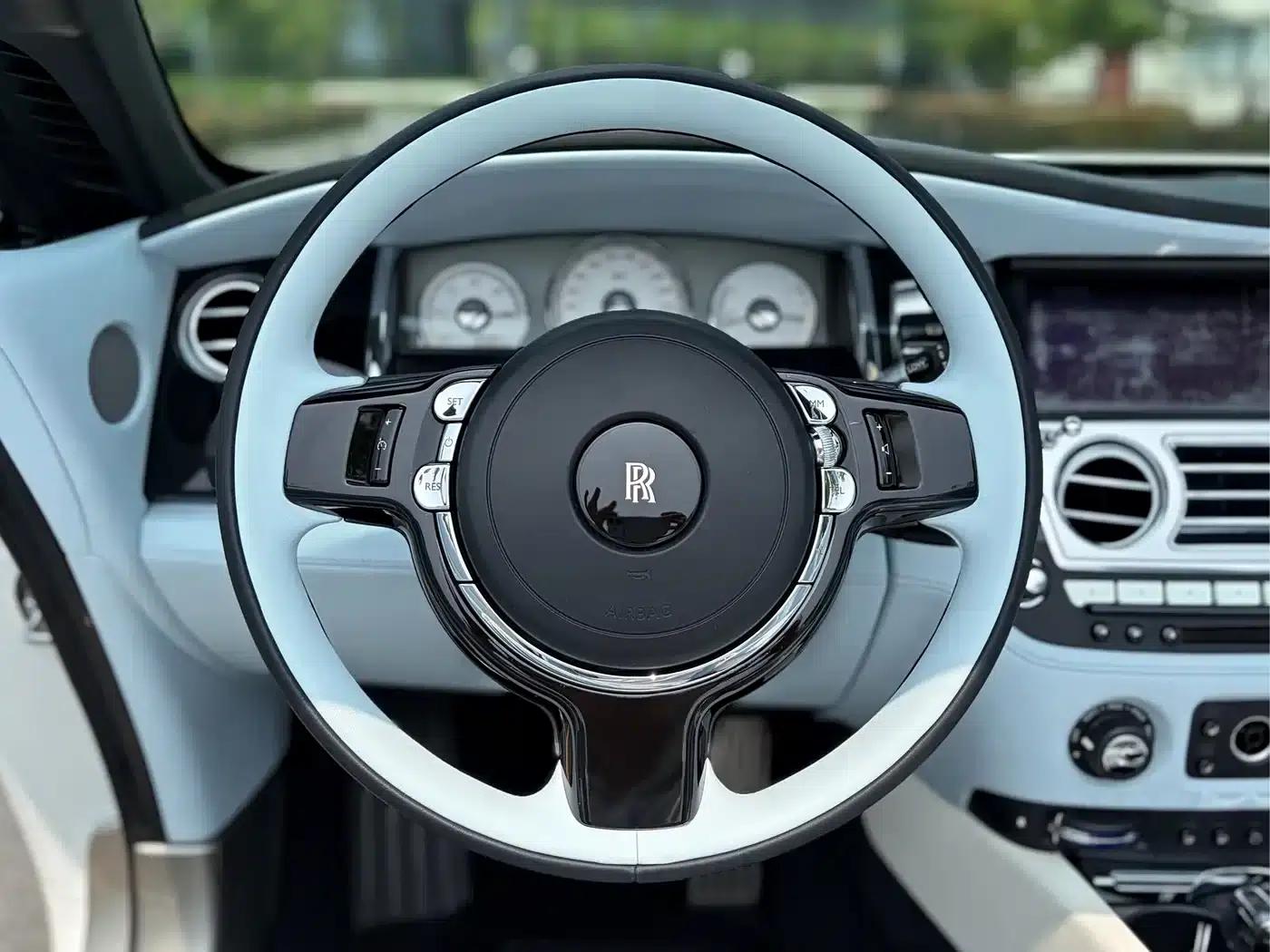 2018 Dawn 6.6T Standard Edition — миниатюра 9